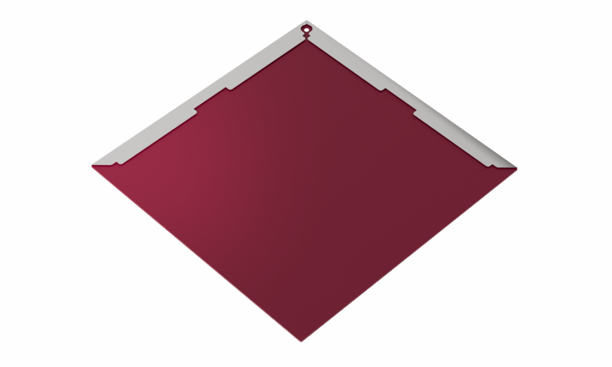 RAL 3005