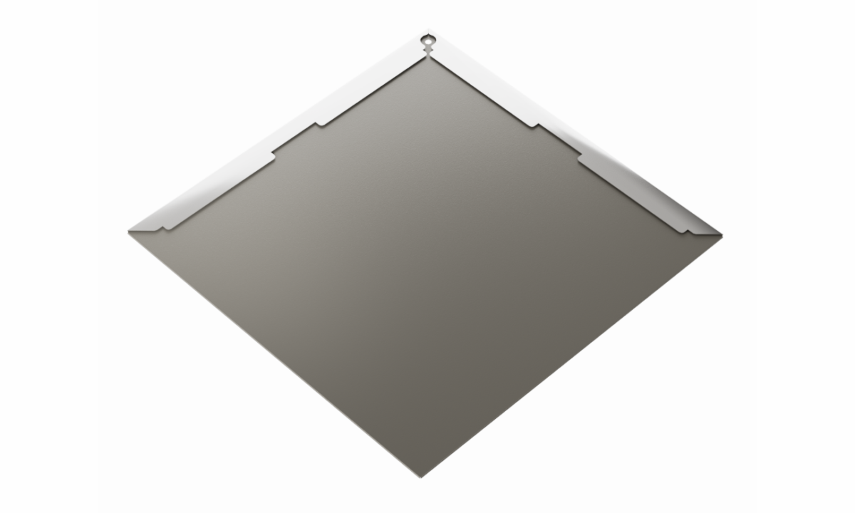 RAL 9007